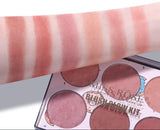 Professional-6-Color-Blusher-Makeup-Kit_3.jpg